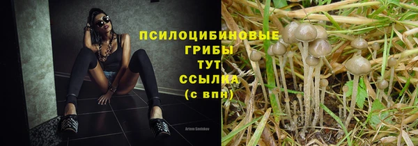 героин Лабытнанги