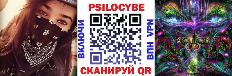 Галлюциногенные грибы Psilocybe  Михайловск 
