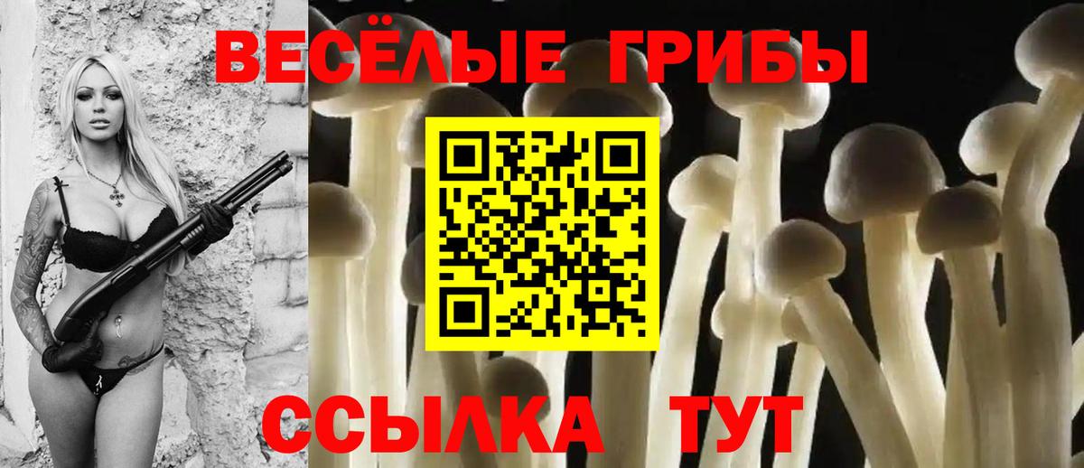 Михайловск  Псилоцибиновые грибы MAGIC MUSHROOMS  Вход с VPN 